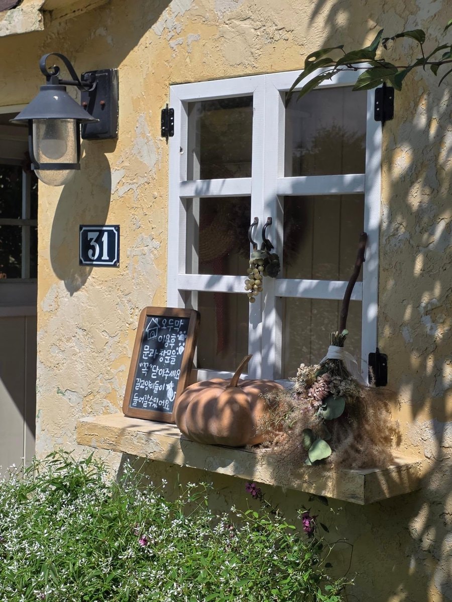 rustic garden shed (photo 3 of 4)