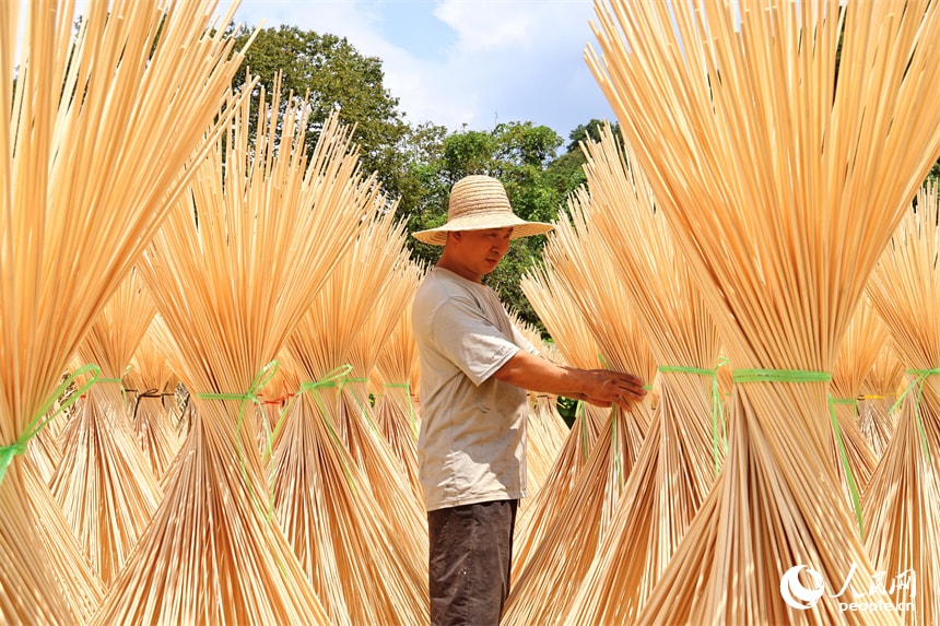Bamboo strips drying in Yuankeng village (photo 4 of 4)