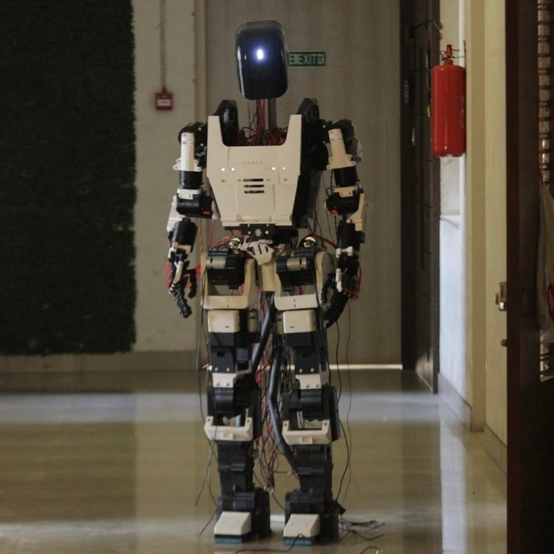 Vanar Robots humanoid beta 2027