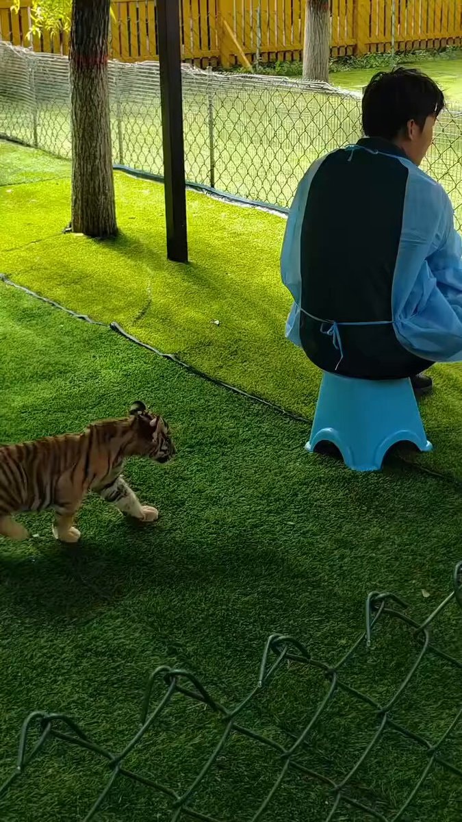 horrific attack reaction