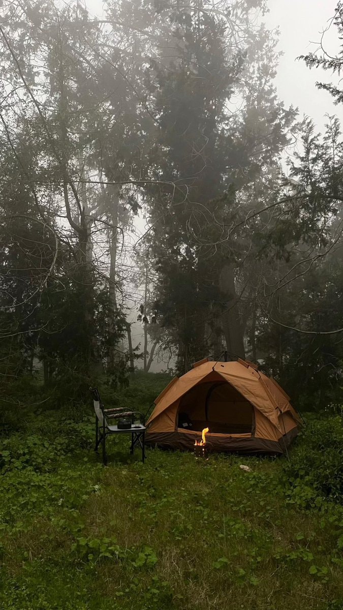 Al-Baha beauty campsite