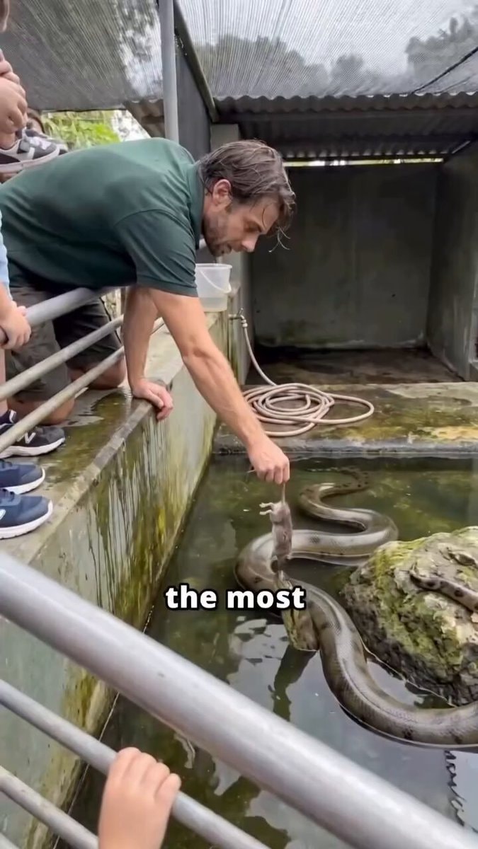 Surprising Wildlife Encounters