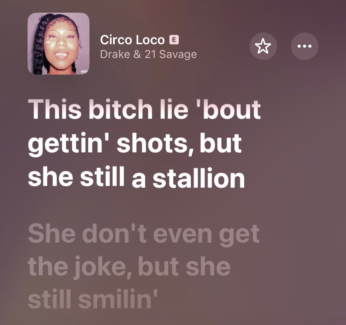 Drake Her Loss Megan Thee Stallion diss (photo 2 of 2)