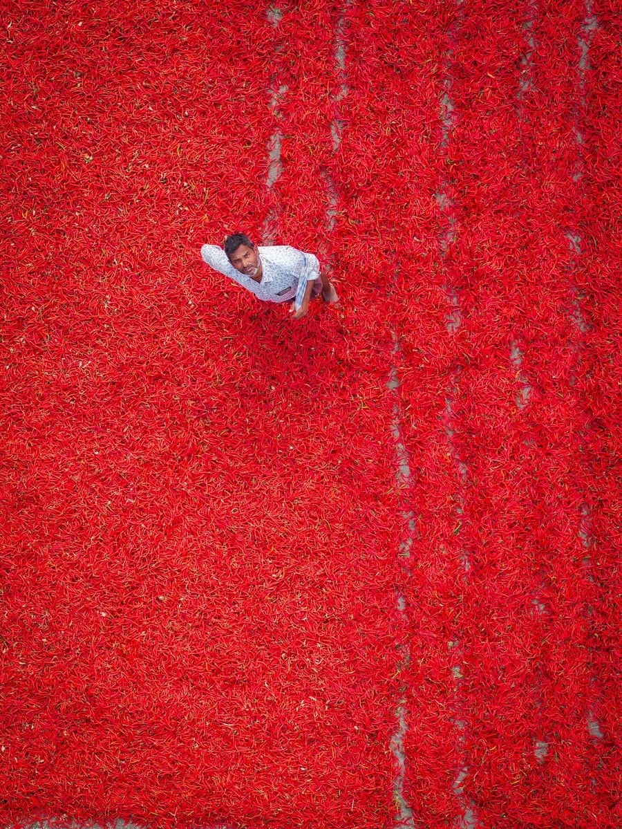 Guntur India chili fields aerial view (photo 4 of 4)