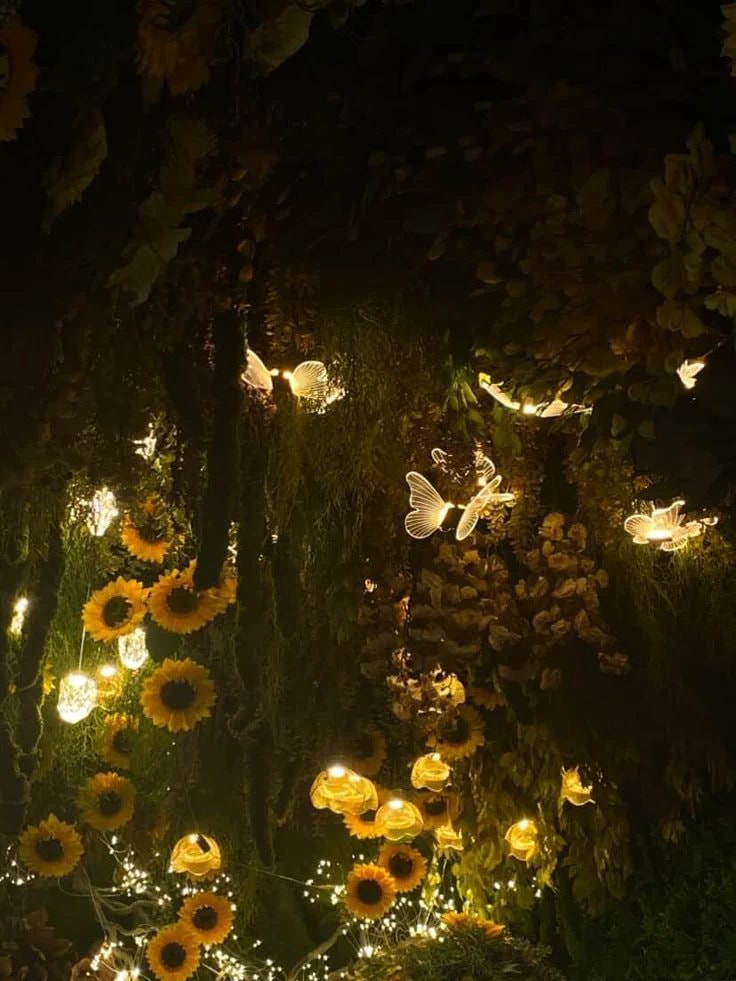 Sunflowers and butterfly lights