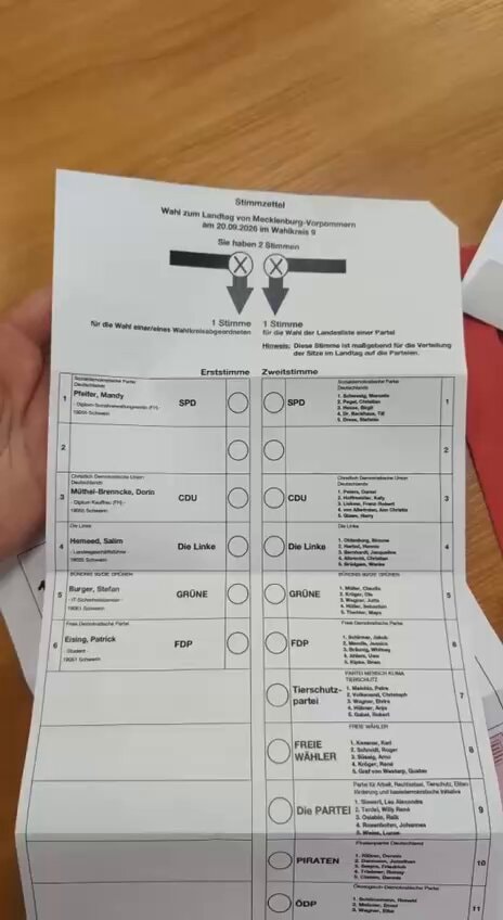German AfD missing from Mecklenburg-Vorpommern ballot German AfD missing from Mecklenburg-Vorpommern ballot