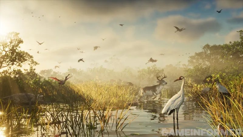GTA 6 wildlife details