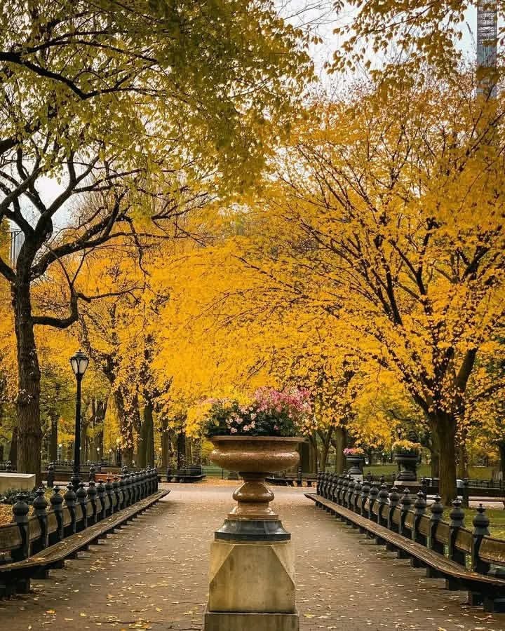 Central Park autumn New York (photo 2 of 4)