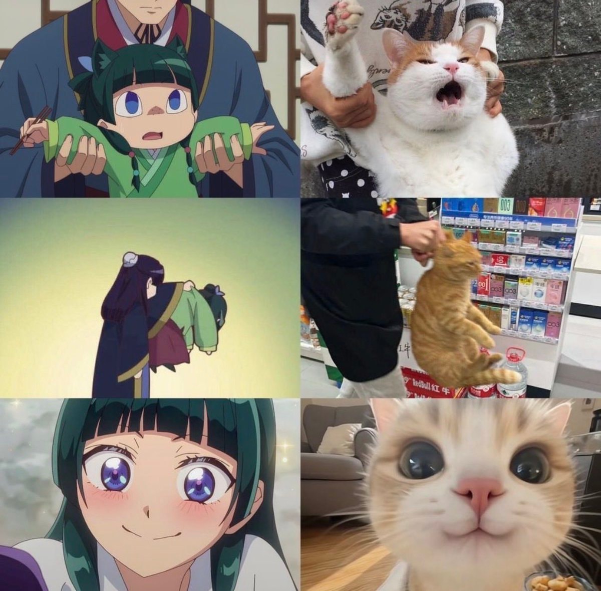 Anime vs Live Action