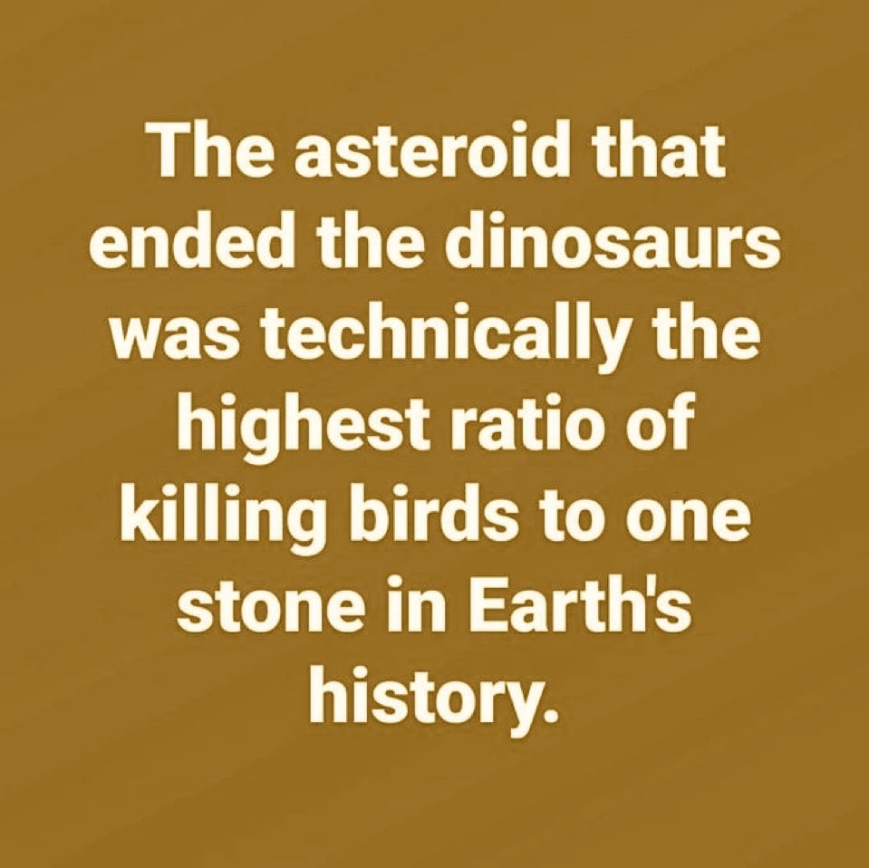 Asteroid dinosaur bird ratio Asteroid dinosaur bird ratio