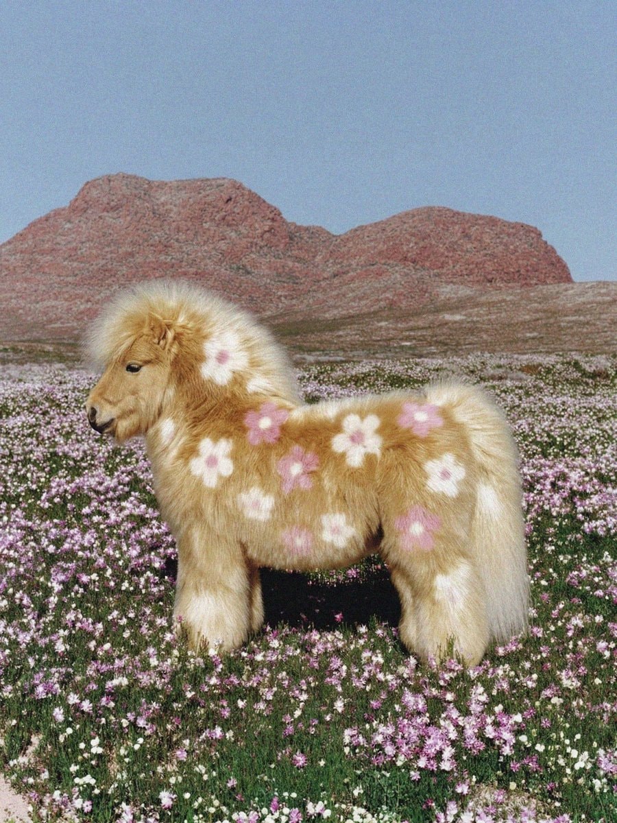 bunny in wildflowers (photo 2 of 4)