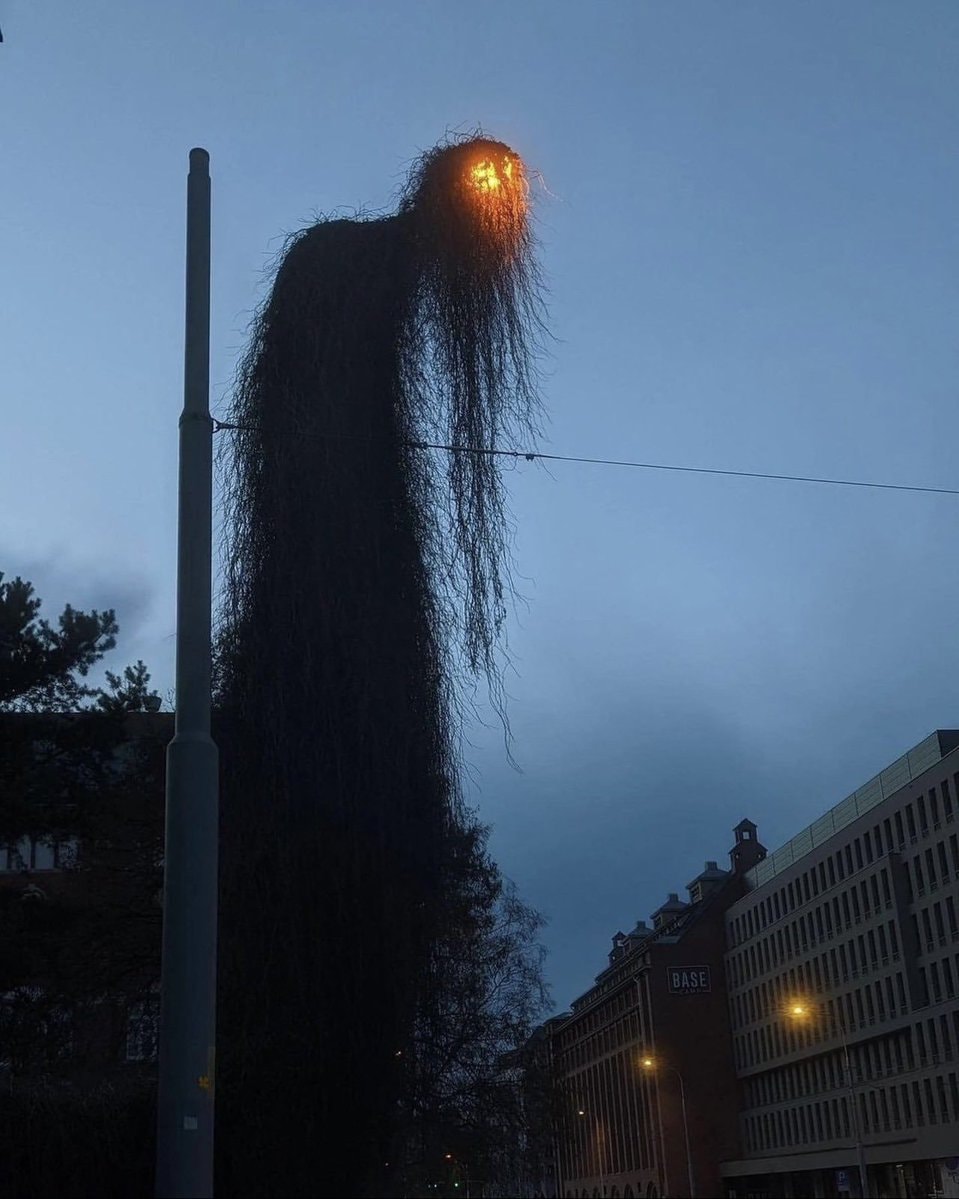 streetlight covered in vines Wroclaw (photo 2 of 2)
