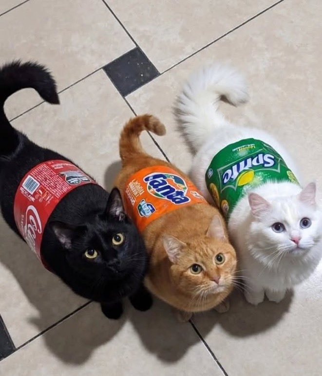 cats in soda can costumes