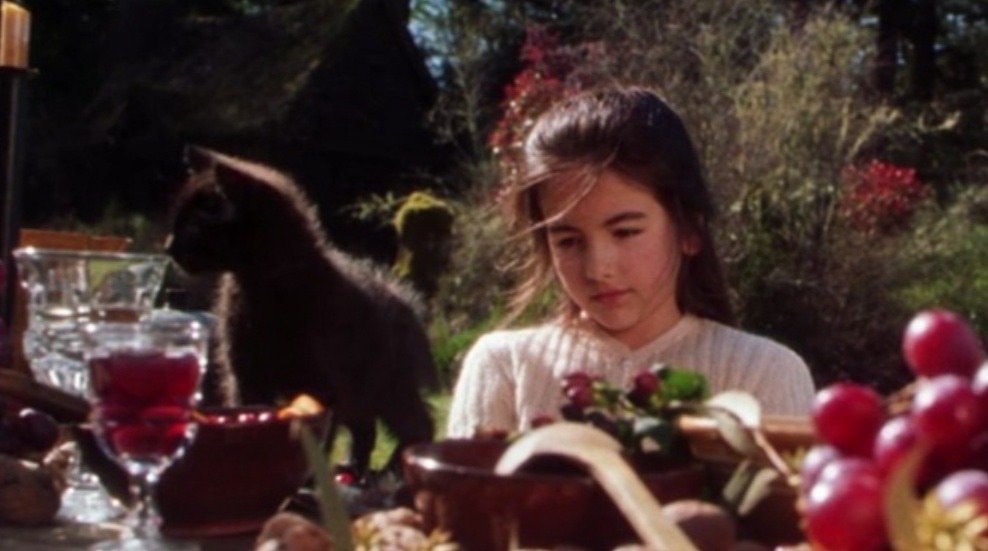 Practical Magic 1998 (photo 3 of 3)