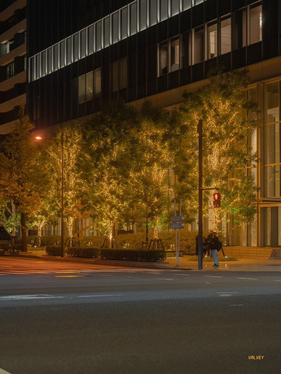 Tokyo Japan night scene (photo 3 of 3)