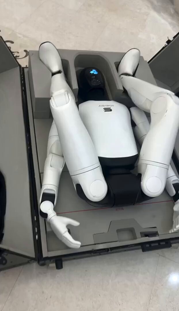 AGIBOT humanoid robot China