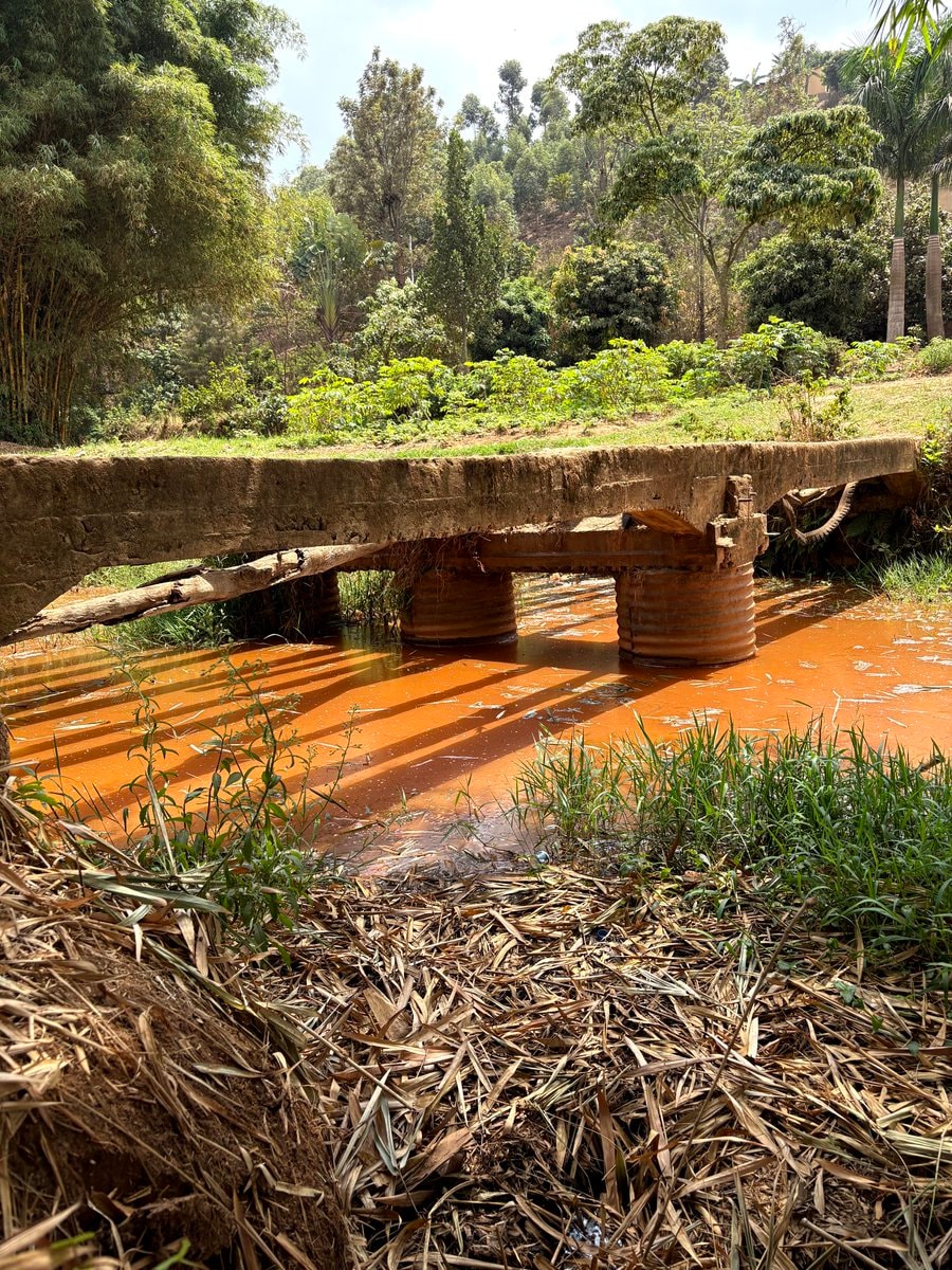 rice farming bridge and water catchment (photo 2 of 4)
