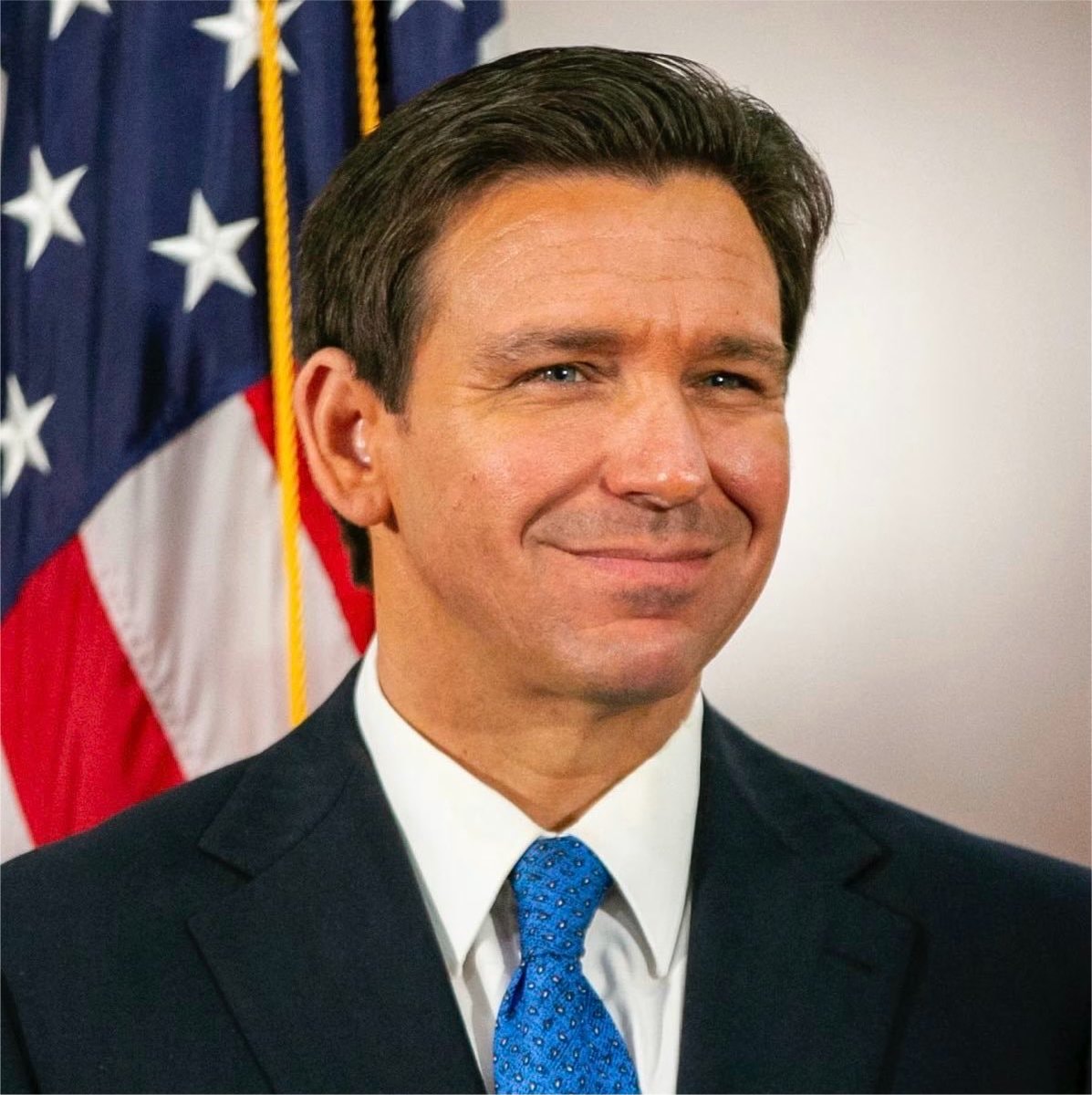 Florida Governor DeSantis Flock camera order (photo 1 of 2)