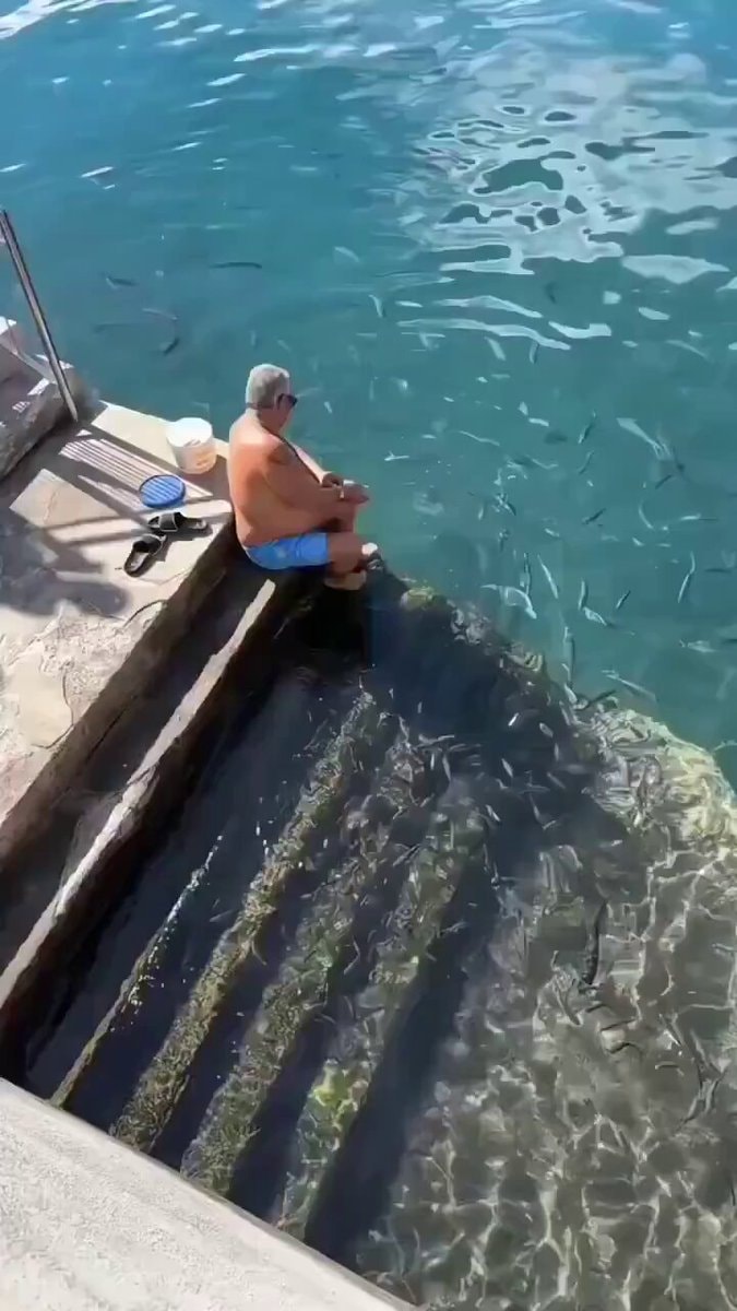 Ray recognizes human grandpa