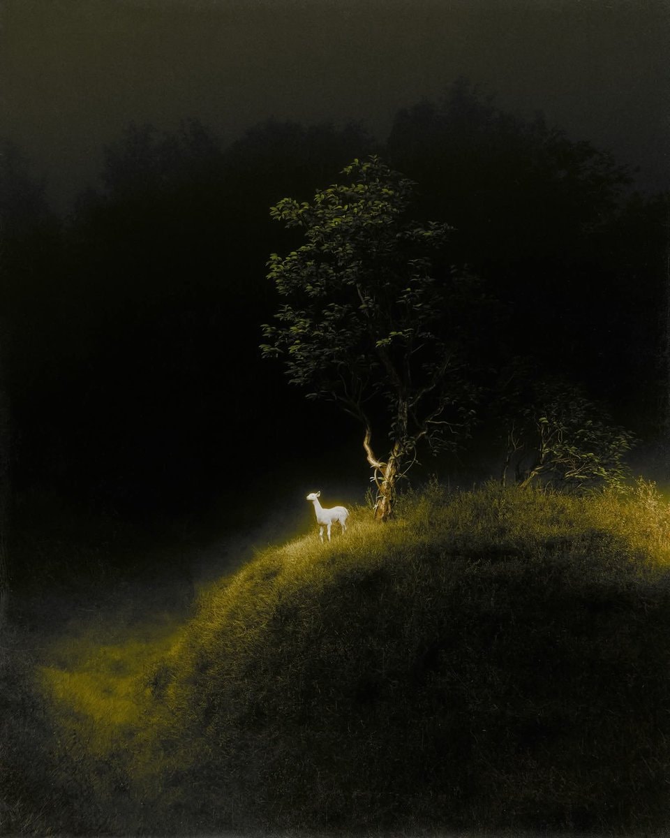 White Deer Illuminated by Golden Light