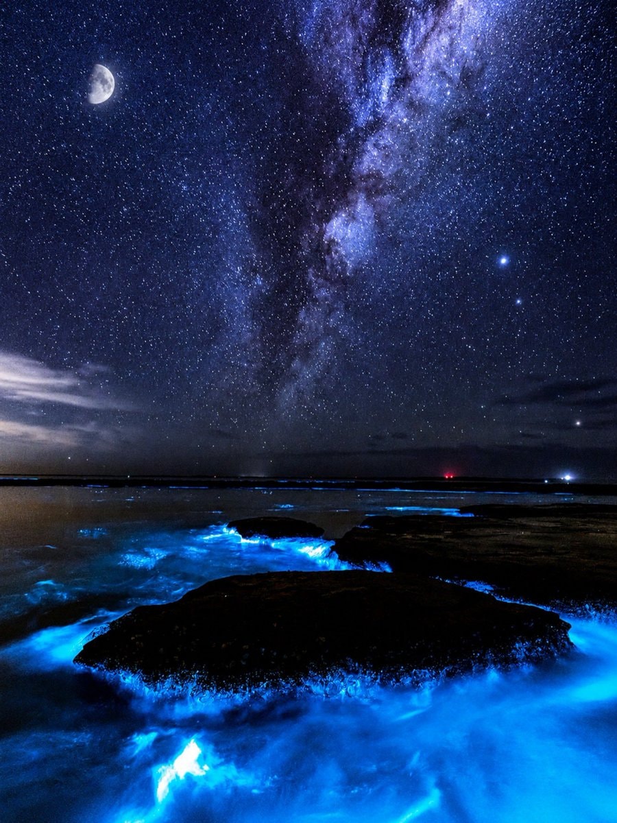 bioluminescent waves beach night (photo 4 of 4)