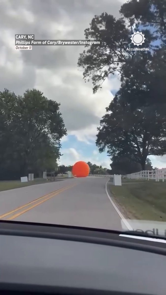 Inflatable Pumpkin Escapes Cary NC