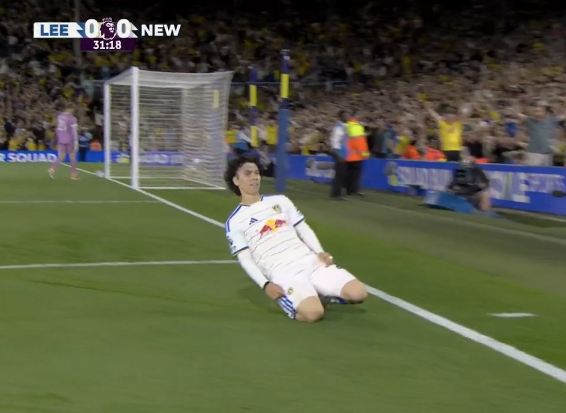 Tanaka goal Leeds vs Newcastle