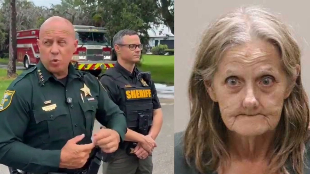 Gail Giustino arrested 70 cats hoarder home