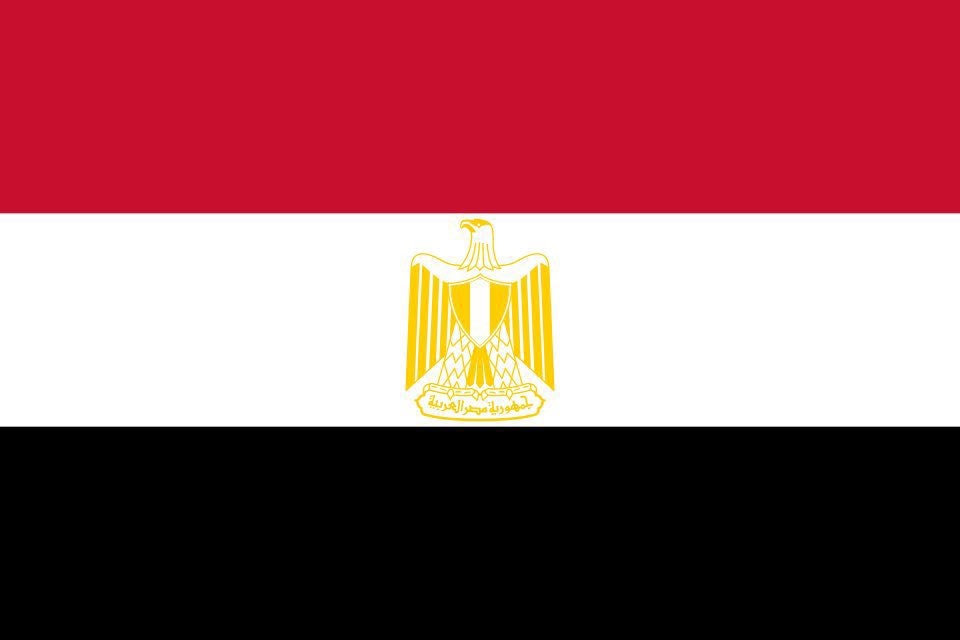 Australia vs Egypt match (photo 2 of 2)