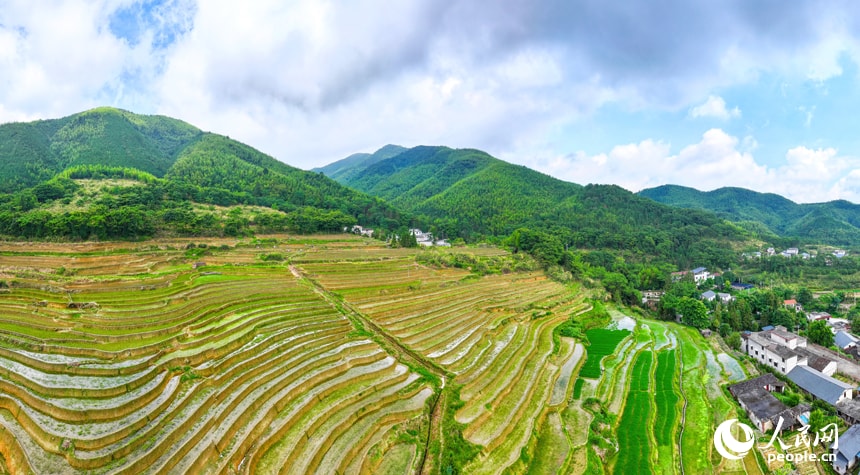 Terraced rice paddies in Jiangxi (photo 3 of 4)