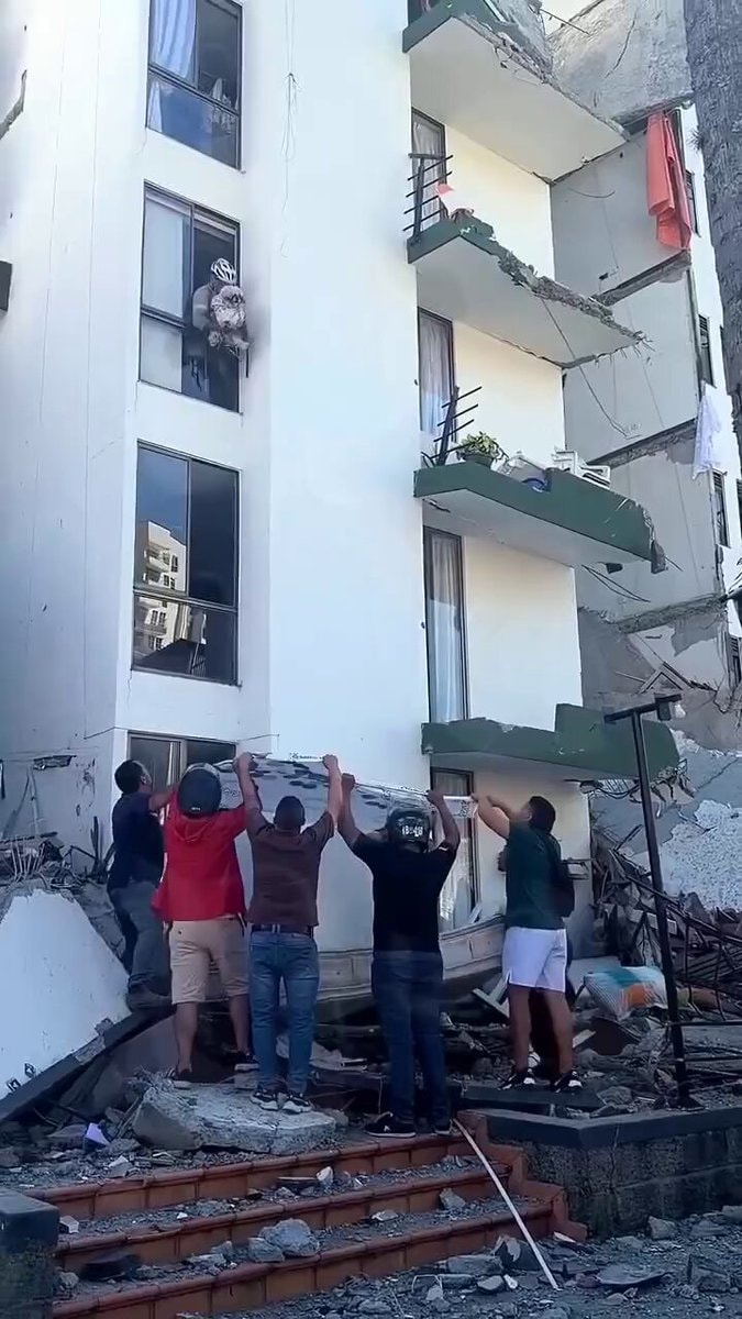 Rescue from damaged building ❤️🐾
