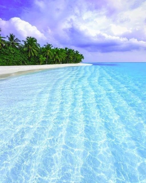 Maldives beach scene