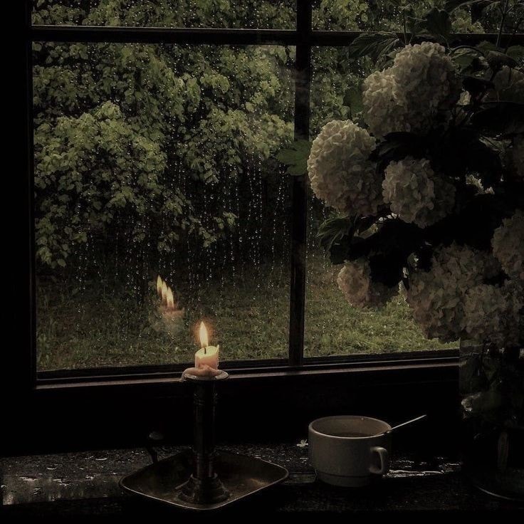 cozy rainy day with book and coffee (photo 4 of 4)