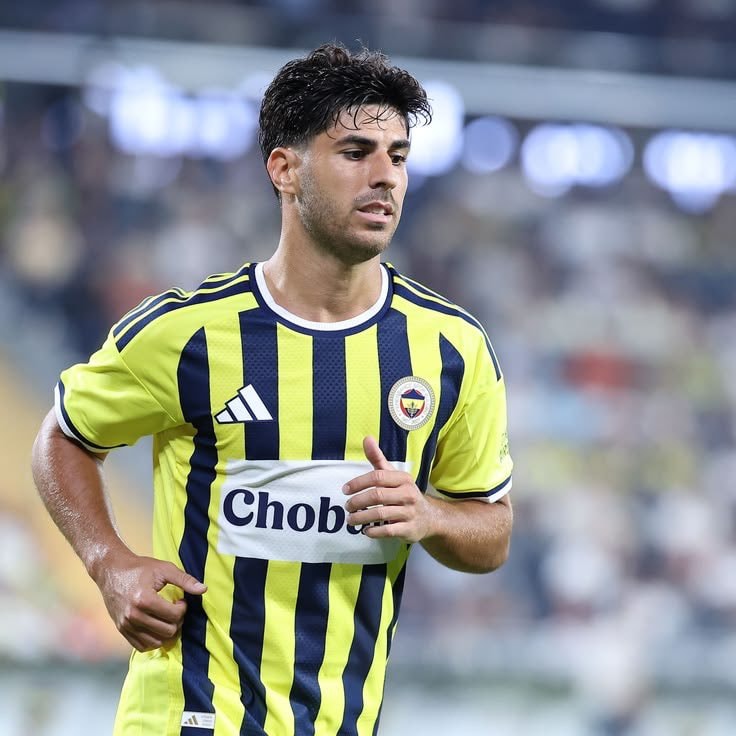 Marco Asensio medical update
