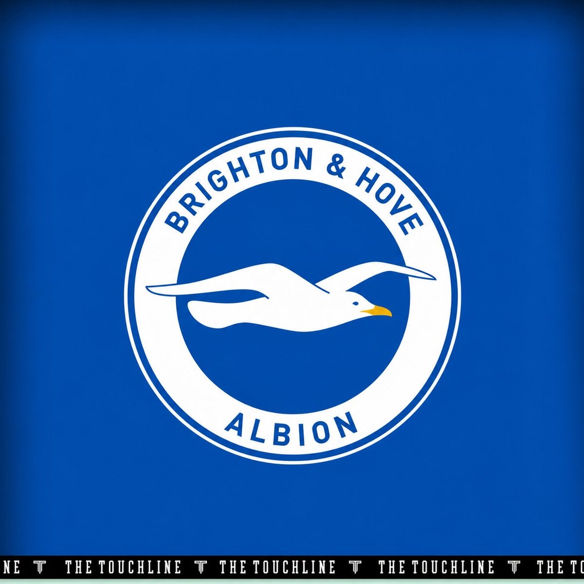 Tate Ferdinand signs professional contract with Brighton (photo 2 of 2)