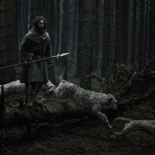 Werwulf trailer 60M views Focus Features (photo 1 of 2)