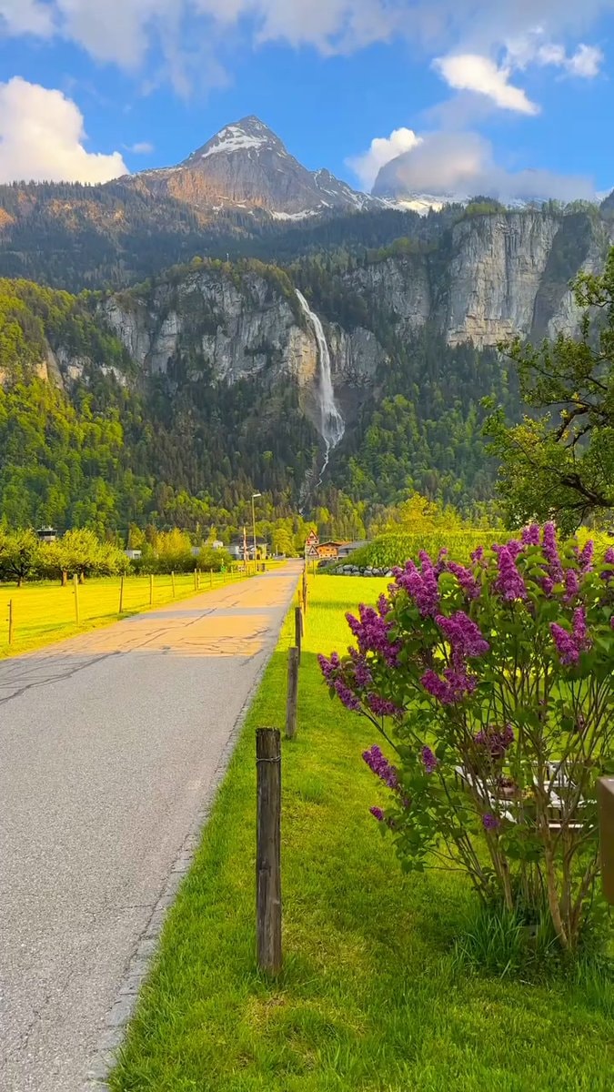 peaceful scenic landscape
