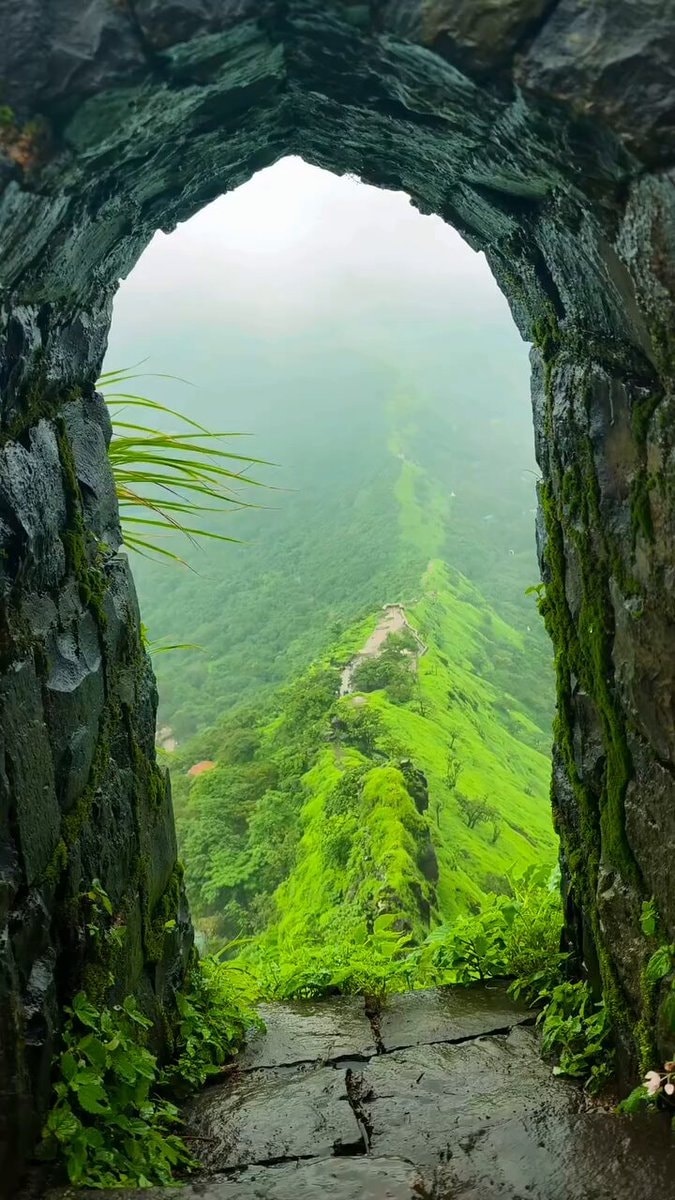 glimpse into life
