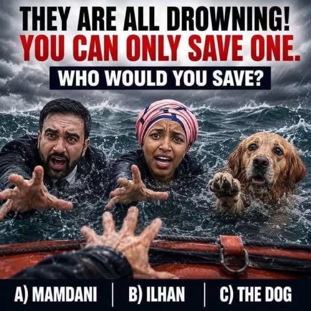 Mamdani Ilhan or the dog drowning dilemma