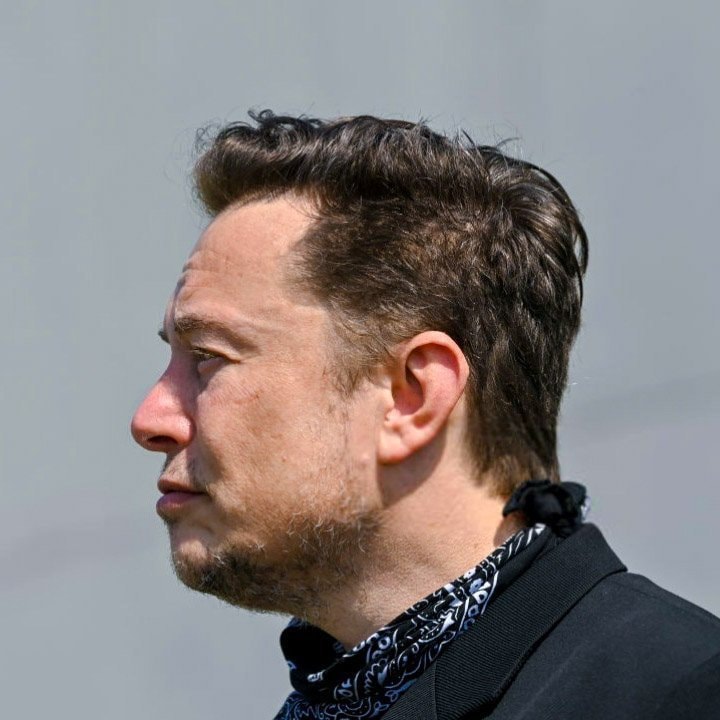 Elon Musk calls EU leaders traitors (photo 1 of 2)