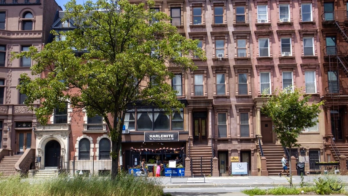 The Manhattan Collective (photo 3 of 4)