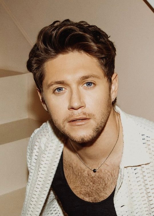 Niall Horan 33rd birthday (photo 2 of 2)