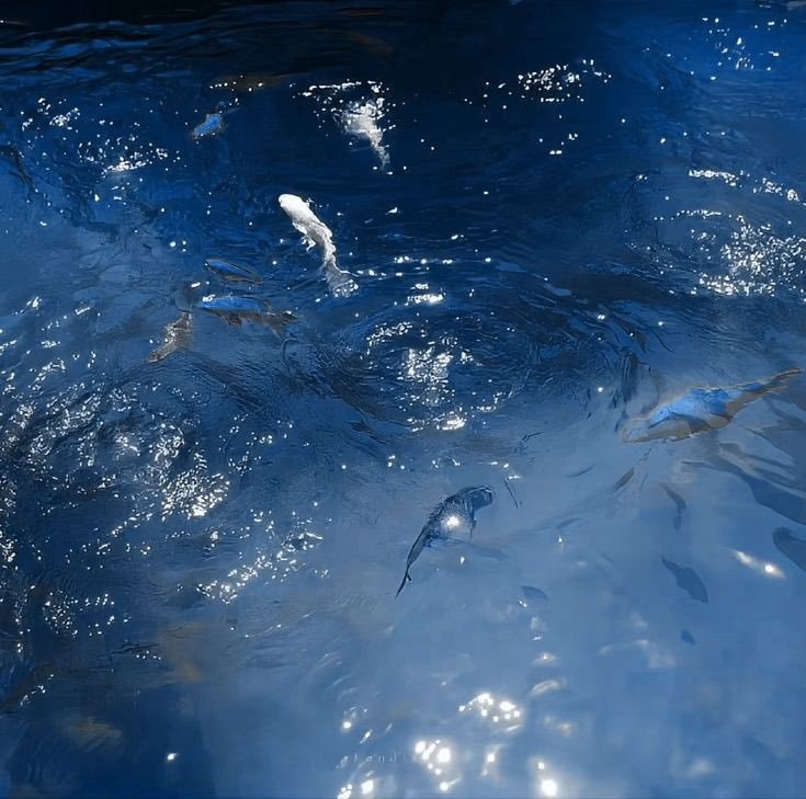 Ocean blue water shimmer (photo 3 of 4)