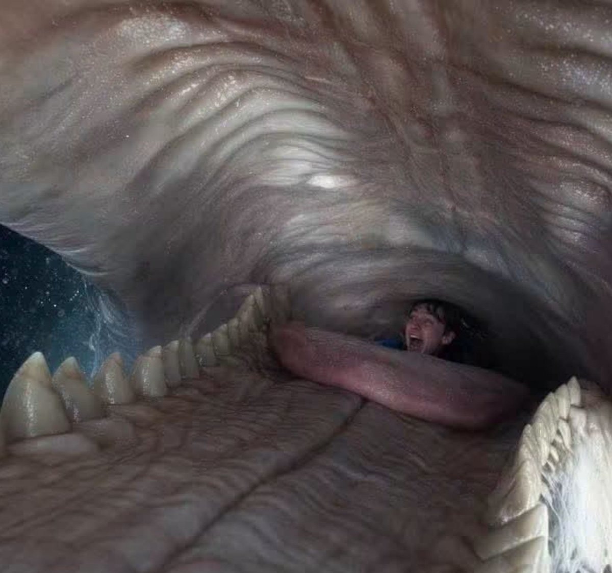 WHALEFALL new perspective