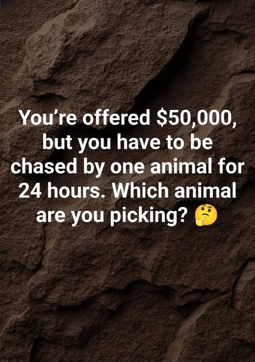 Animal chase hypothetical $50,000