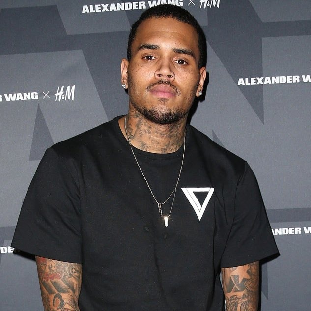 Chris Brown Alexander Wang H&M