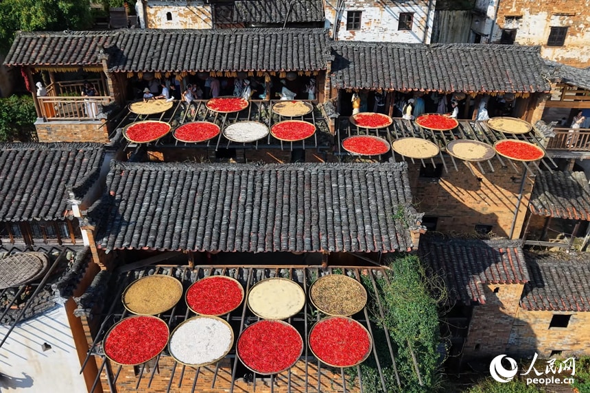 Huangling shaiqiu harvest drying (photo 4 of 4)