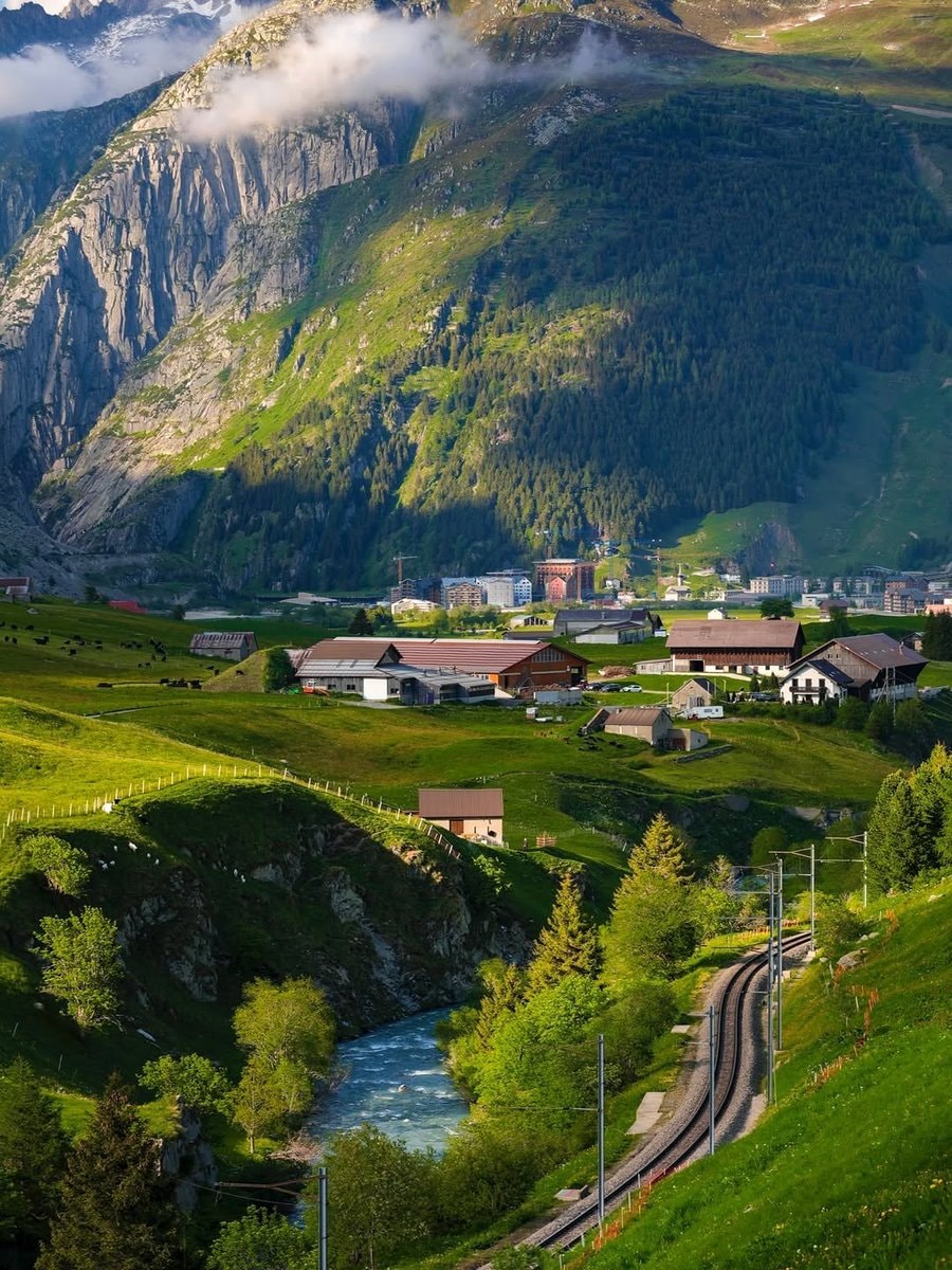 Switzerland goats and snowy peaks (photo 4 of 4)