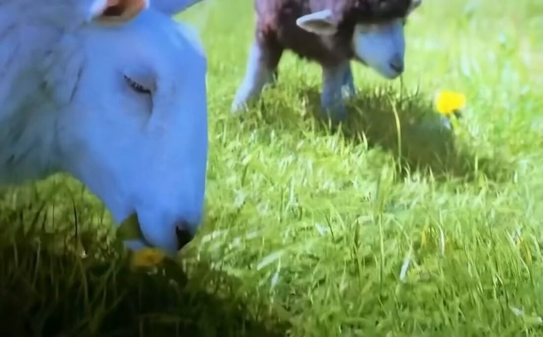 The Sheep Detectives Hugh Jackman Emma Thompson