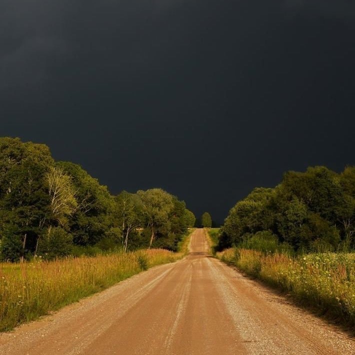 Gloomy weather with solitary tree and storm clouds (photo 2 of 2)